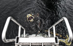 Seaforce Diving